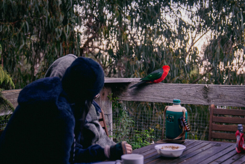 MelbSolsticeSoulCamp-2025-HighRes-29